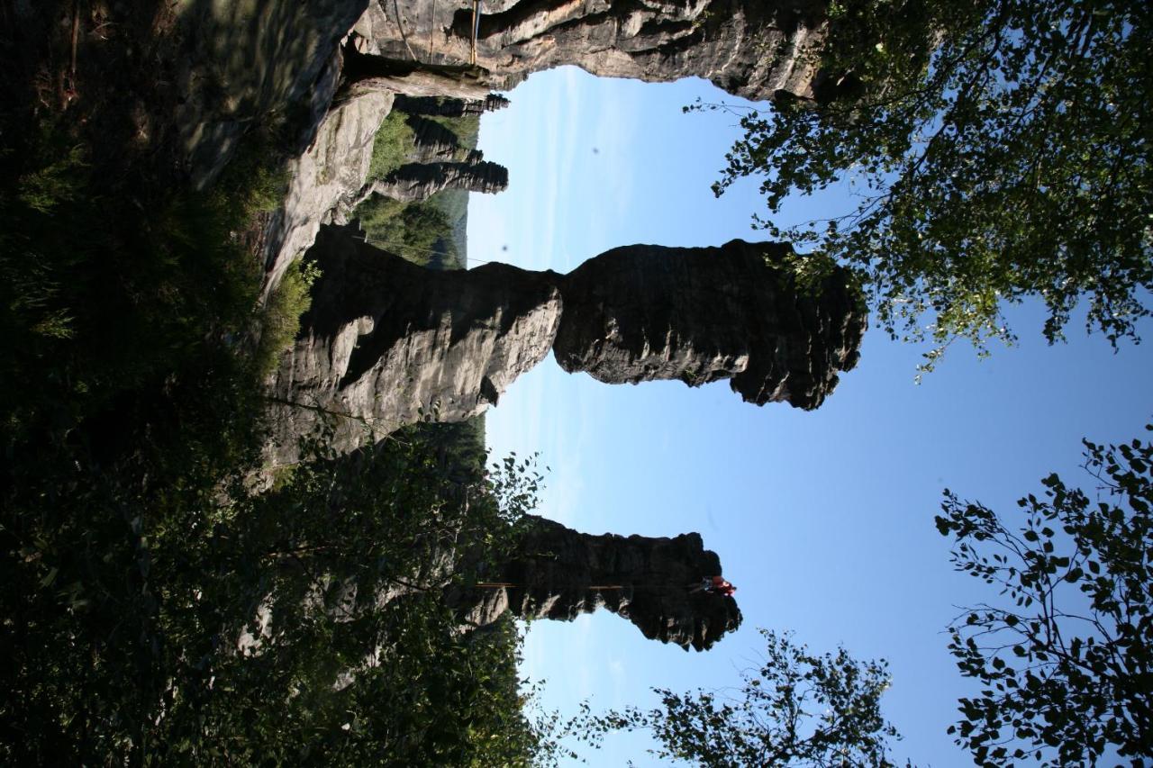 Landpension Bielatal - Raum Exterior photo